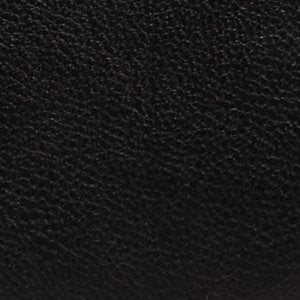 Alaeteriell - Image 6