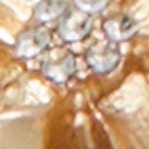 Chicadellicc - Image 3