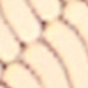 Seascharms - Image 3