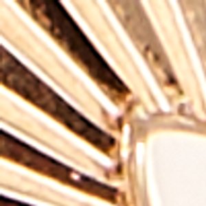 Revolution - Image 3