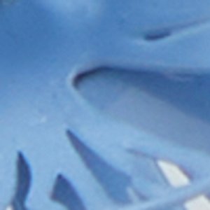 Petaldream - Image 3