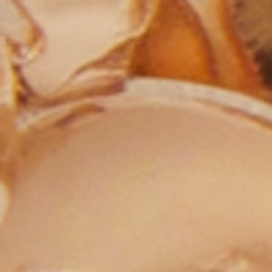 Gardenglow - Image 2