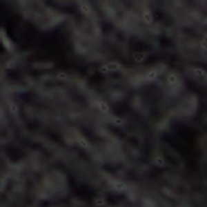 Ccoastbreeze - Image 9