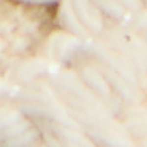 Ccoastbreeze - Image 9