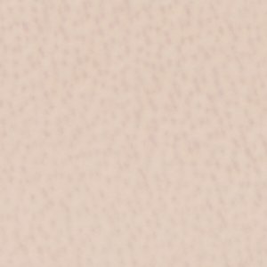 Anitabrilden - Image 8