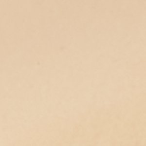 Harmonious - Image 8