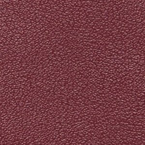 Goldenshinerr - Image 7