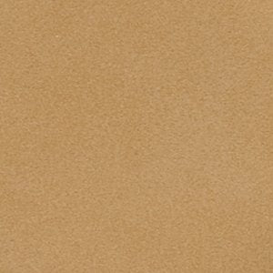 Goldenshinerr - Image 7