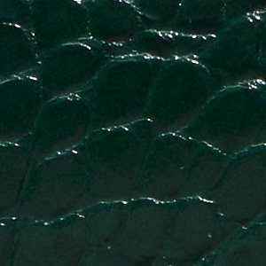 Albalaerell - Image 6