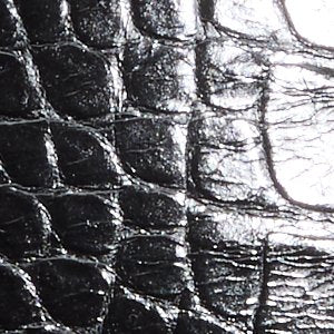 Albalaerell - Image 6