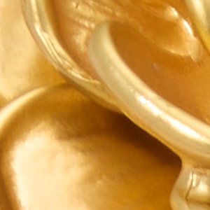 Wildatheart - Image 4