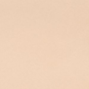 Cheetahluxe - Image 2