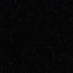 Bellissamo - Image 9