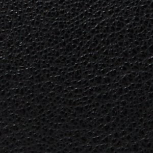 Eevangeliaax - Image 6