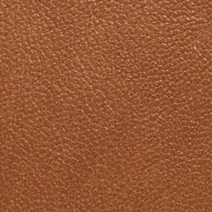 Eevangeliaax - Image 6