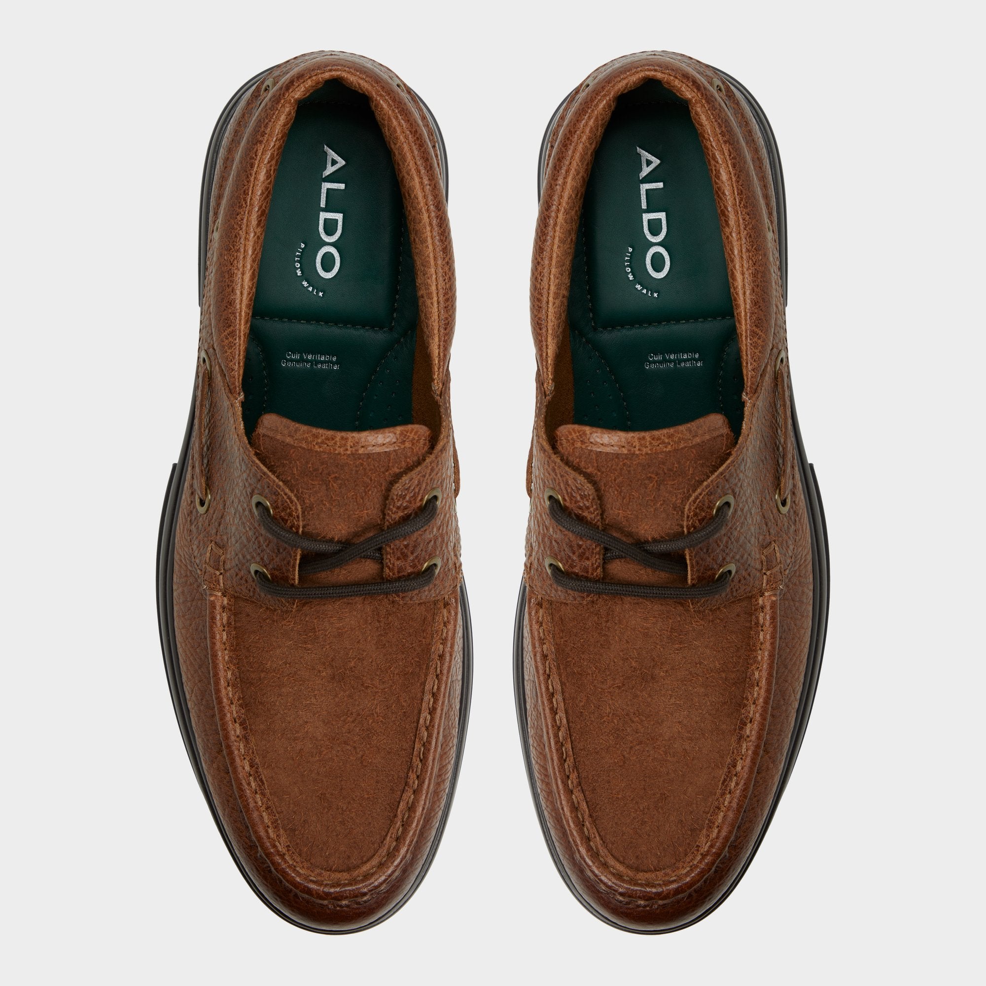 Seaexplorer - Image 6