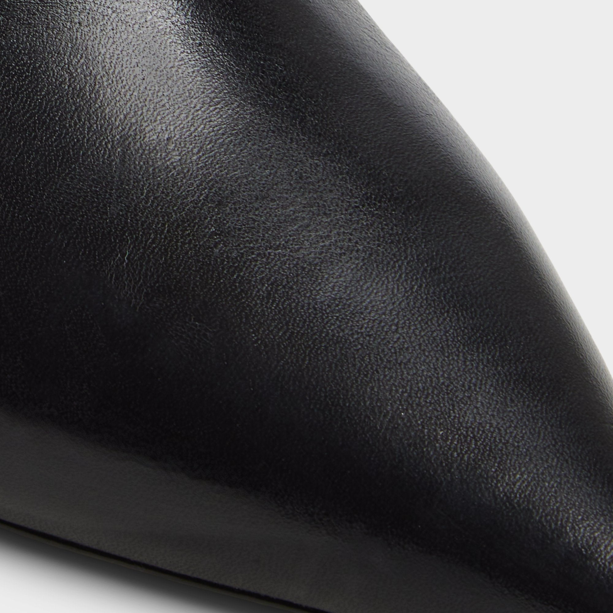 Saphiria-wc - Image 6